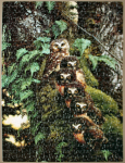 Proof that the puzzle was finished.